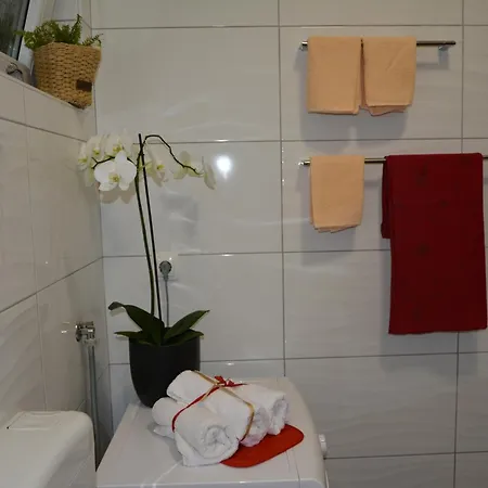 Apartment Mirjana