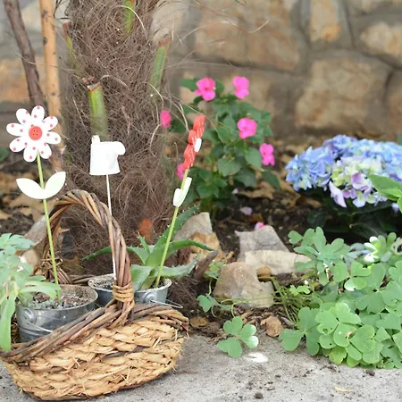 Mirjana Apartment Vodice