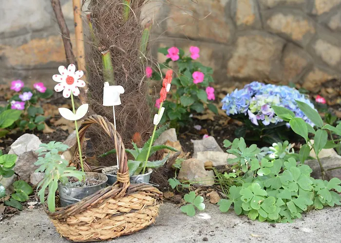 Mirjana Appartement Vodice